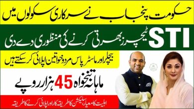 STI Jobs 2025 Advertisement for School Teacher Interns in Punjab