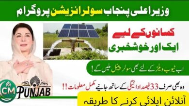 CM Punjab Launches Solar Project for Agricultural Tube Wells